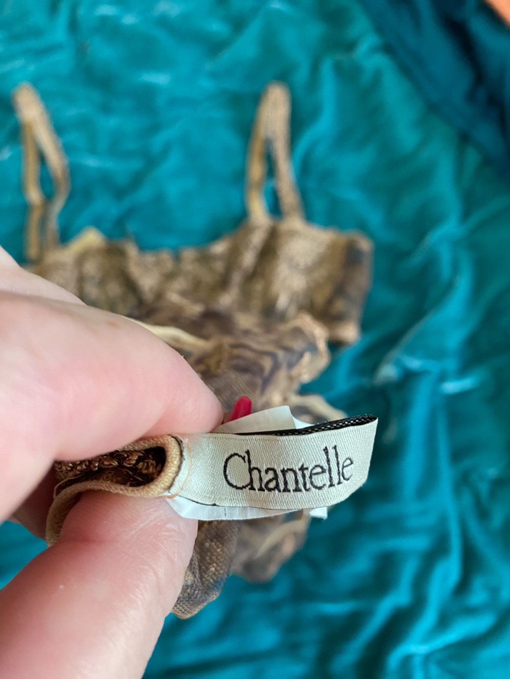 Chantelle Sheer Embroidered Bra & Brief Set in Gold - Picture 6 of 15
